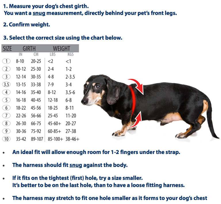 Buddy Belt Sizing Chart