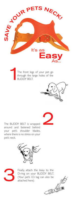 How to Use Buddy Belts